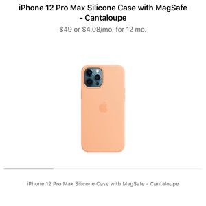 IPhone 12 Pro Max Apple Silicone Case
